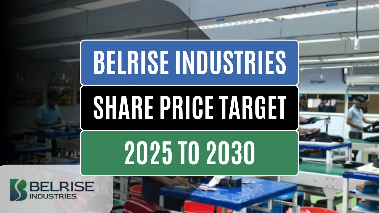 belrise industries share price target